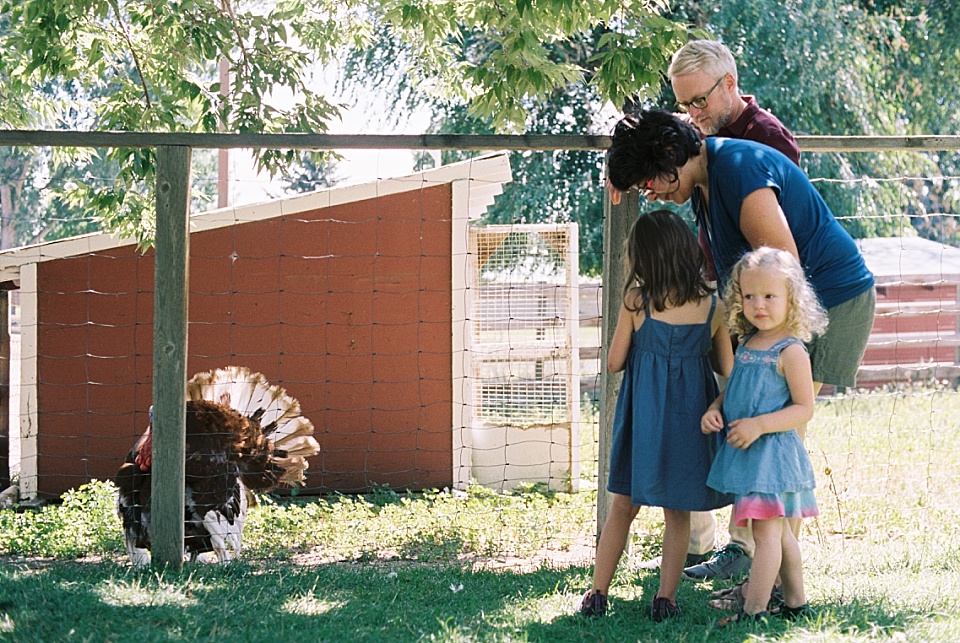family looking at turkey