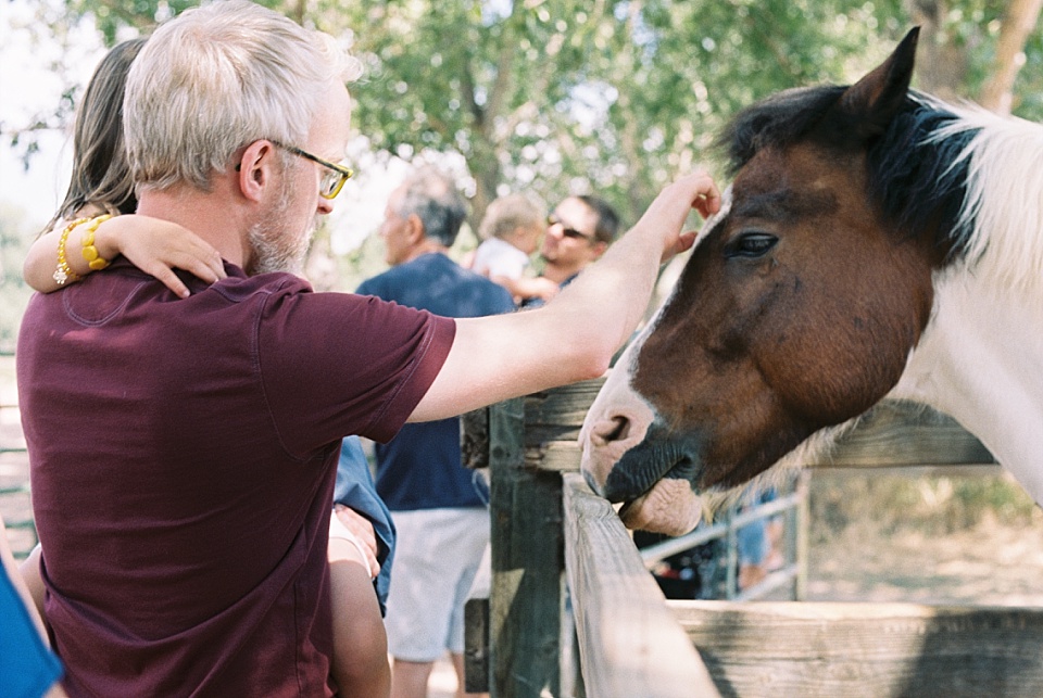 dad petting horse