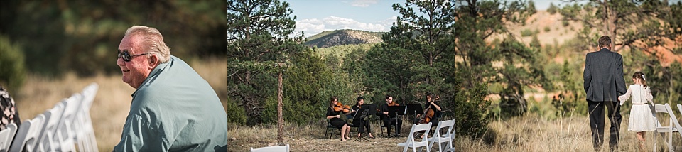 musicians playing in trees