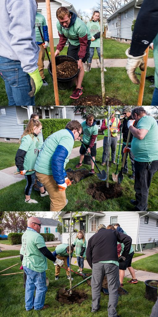 Volunteers planting trees in yard.