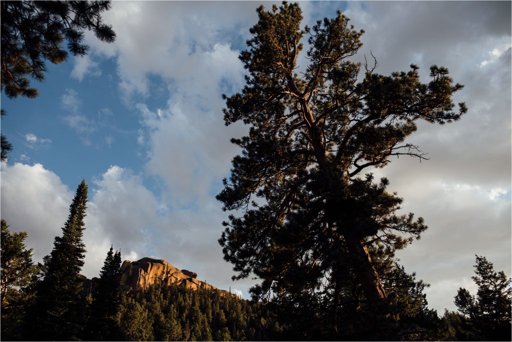 Hillside at sunset.