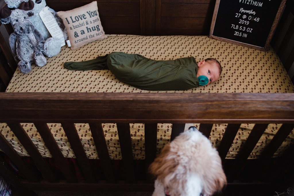 Baby laying in crib while dog looks on
