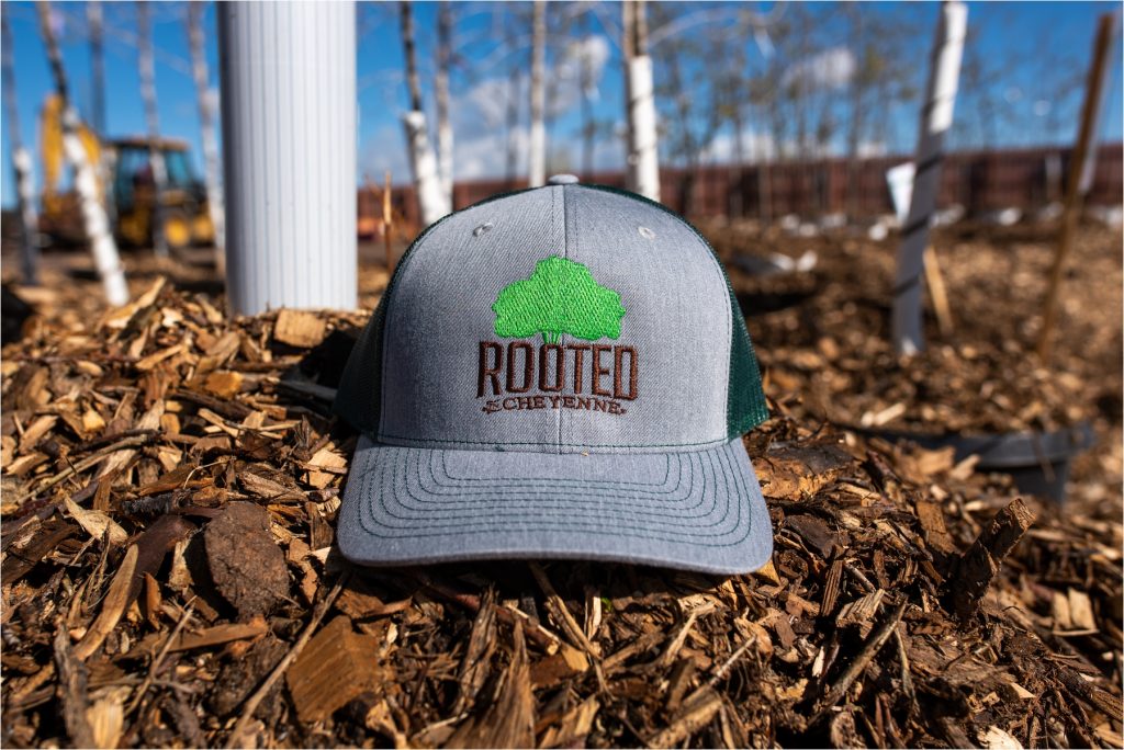Rooted in Cheyenne hat near saplings