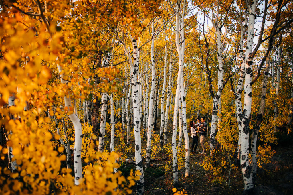 Family snuggling in aspen grove during fall family photography session.