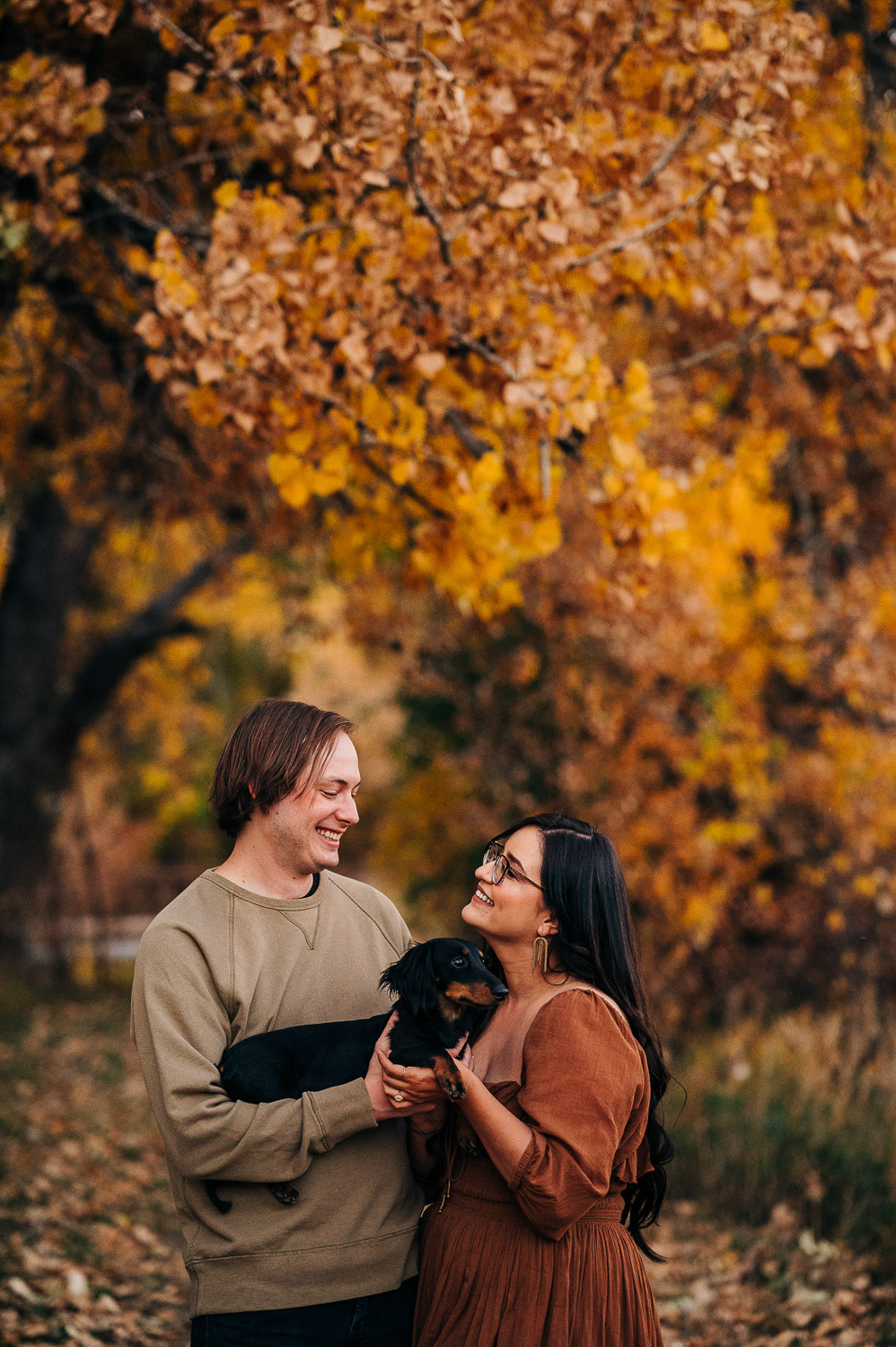 Couple holds their dachshund, surrounded by orange cottonwoods in Fort Collins.